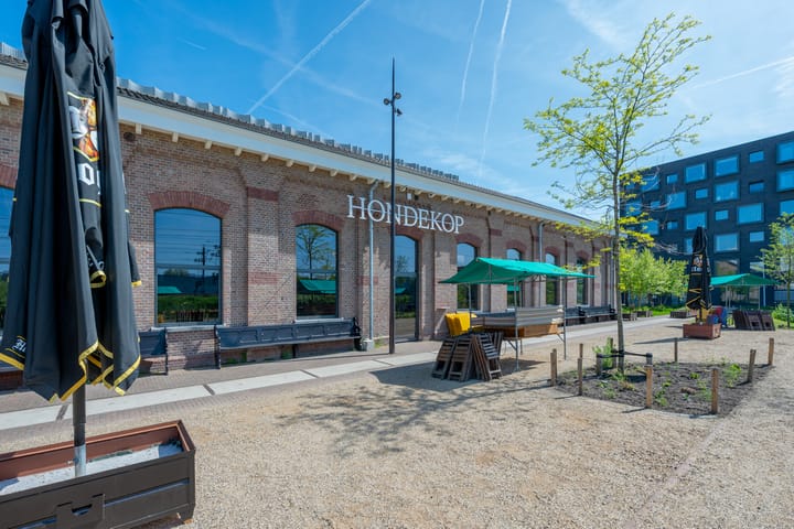 Foto 49 van Seringstraat 26