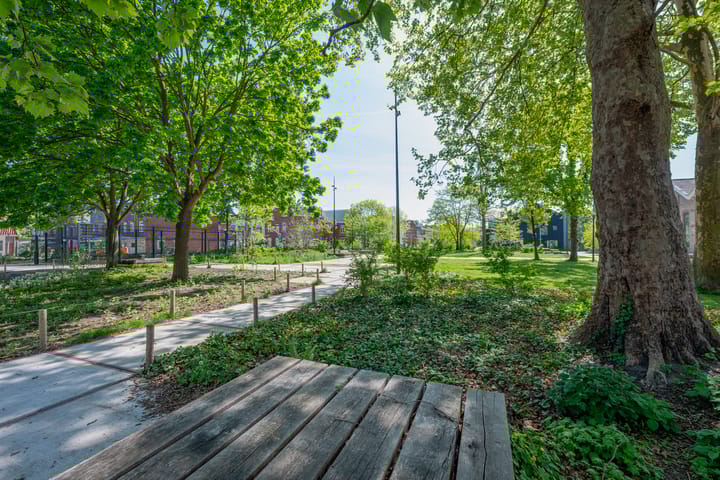 Foto 50 van Seringstraat 26