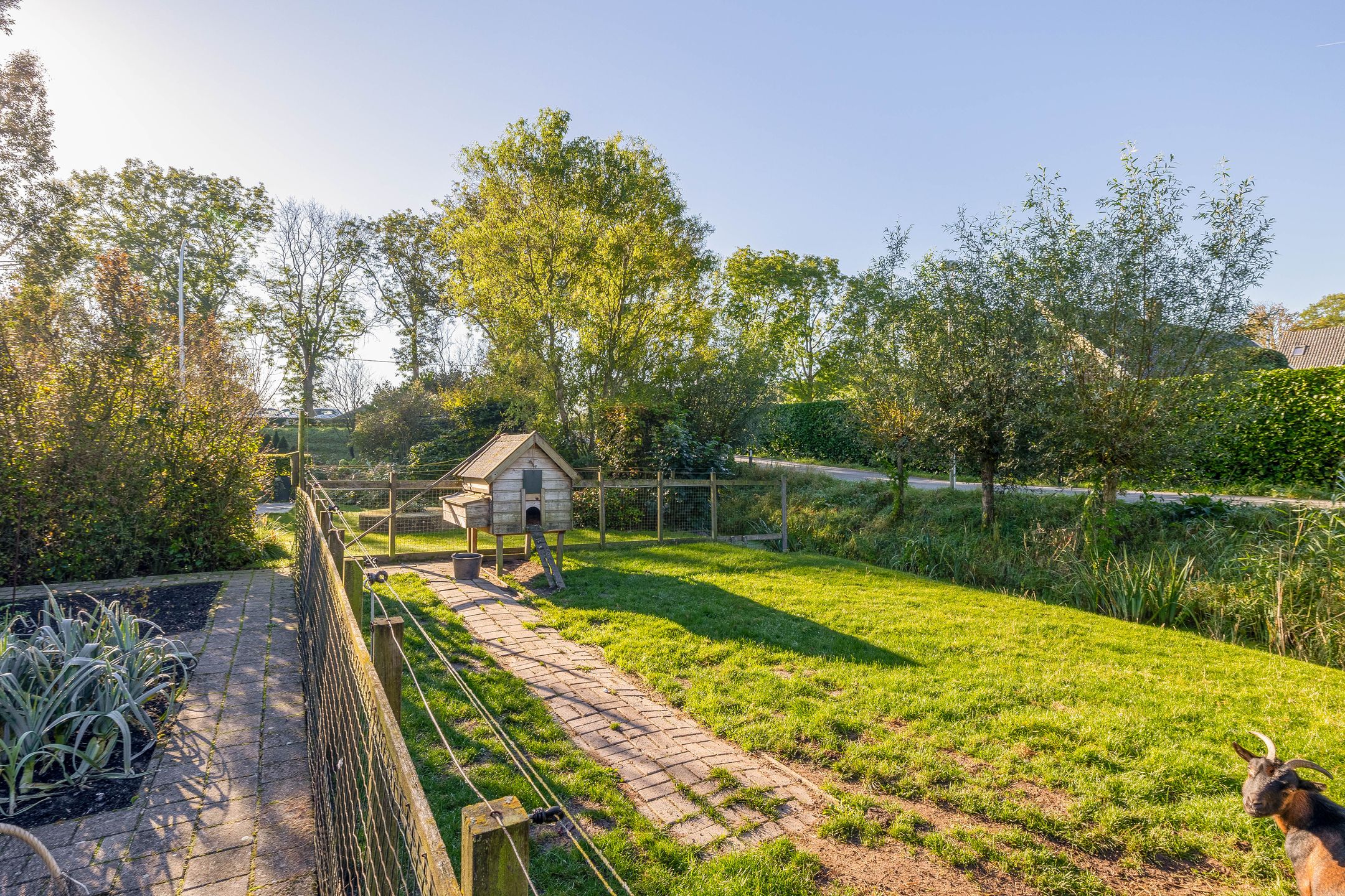 Foto 57 van Provincialeweg Oost 64