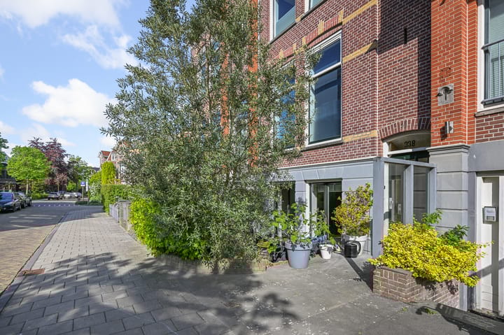 Foto 37 van Emmastraat 33-B