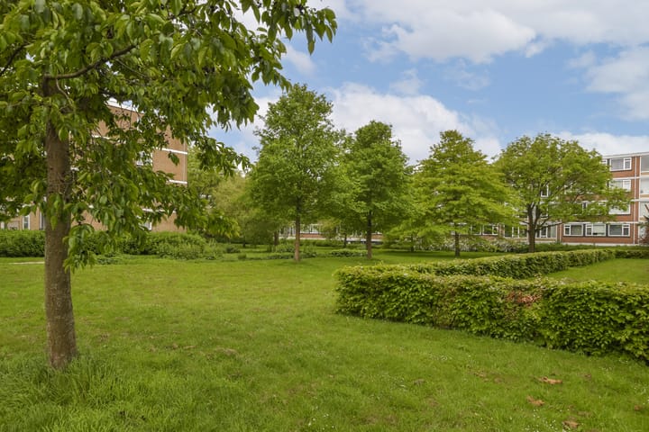 Foto 25 van Plotinusstraat 68