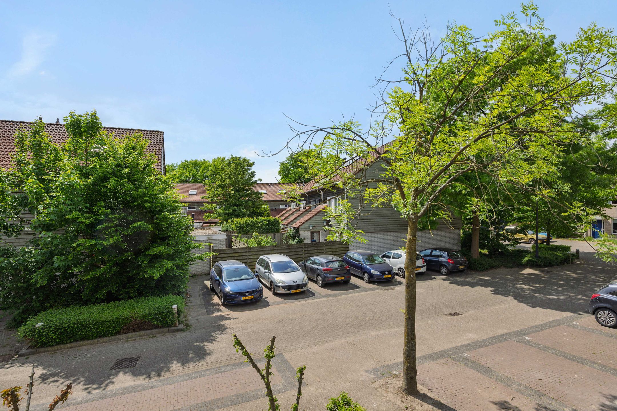 Foto 39 van Druivenkas 12