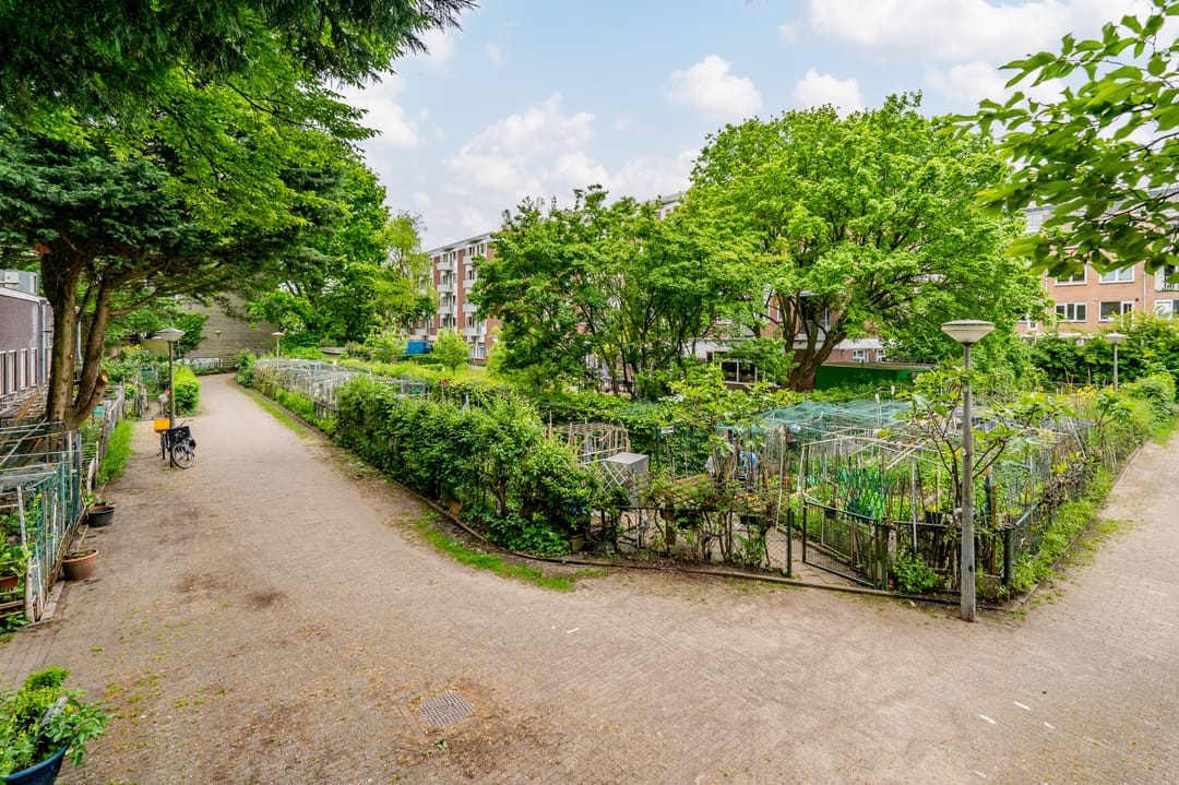 Foto 23 van Houtrijkstraat 108