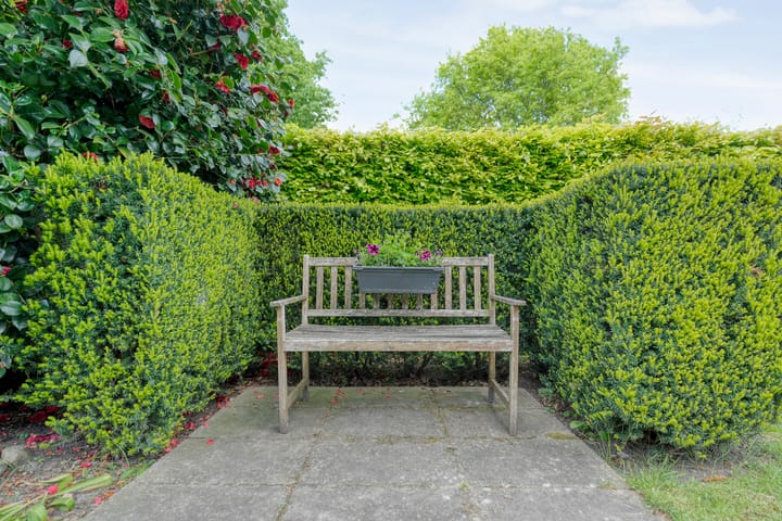 Foto 58 van Van 't Hofflaan 9