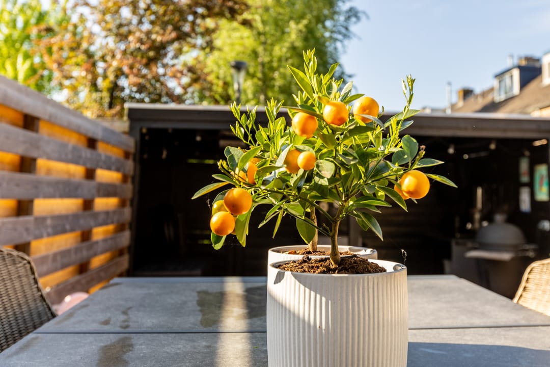 Foto 47 van Boerhaavelaan 14