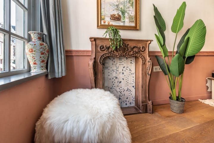 Foto 7 van Nassaustraat 11