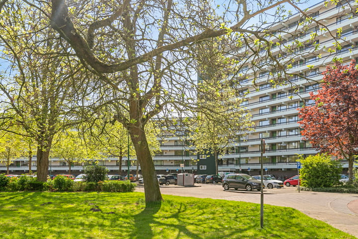 Foto 2 van Zuiderkruis 34