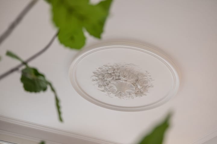 Foto 15 van Willem II Singel 70