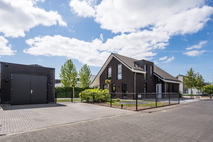 Foto 1 van Vijfvingerkruid 16