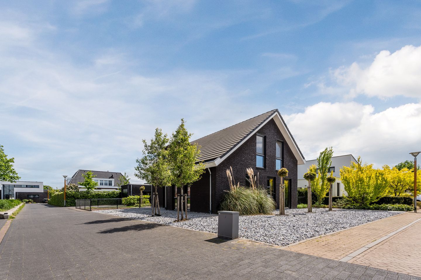 Foto 5 van Vijfvingerkruid 16