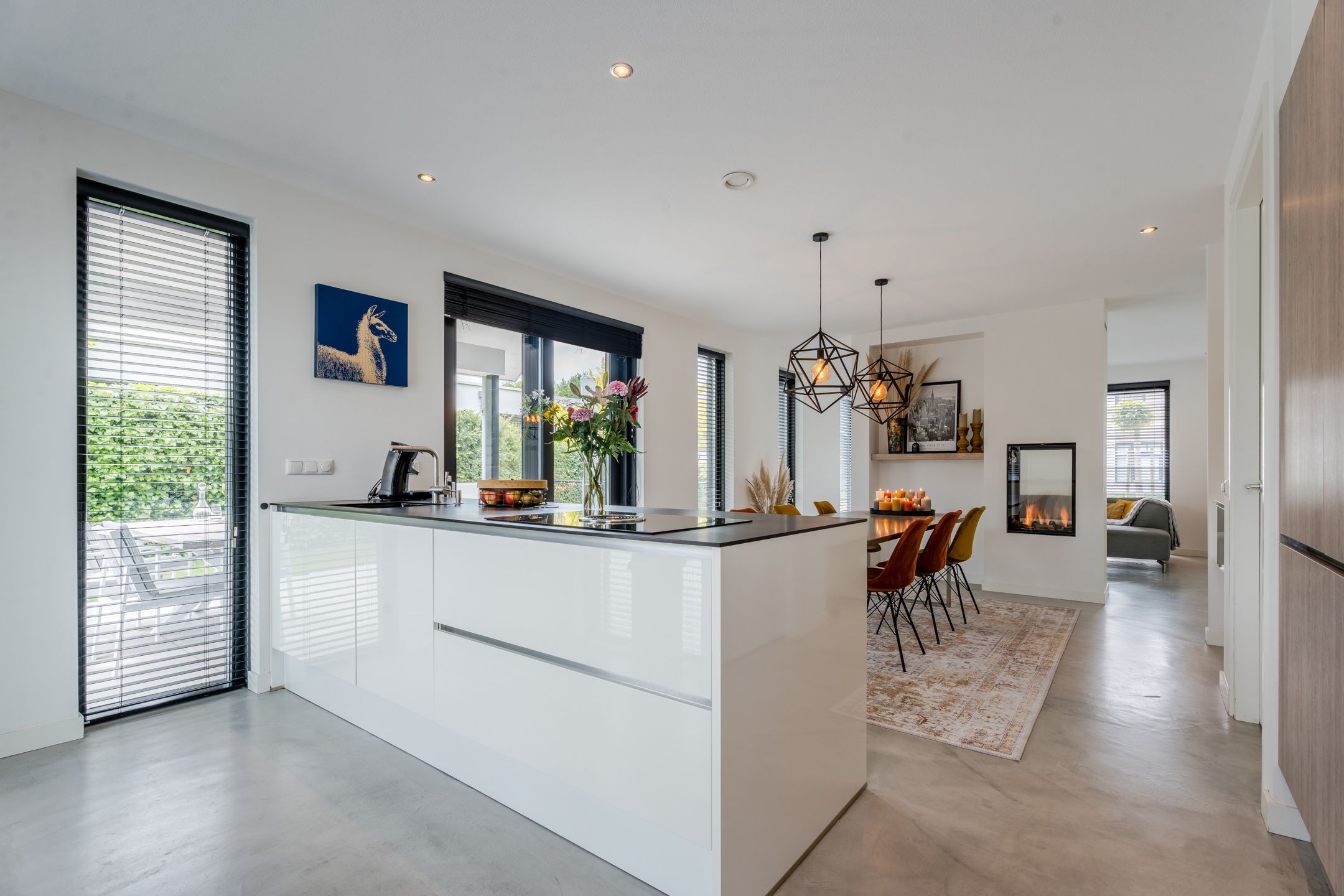 Foto 15 van Vijfvingerkruid 16