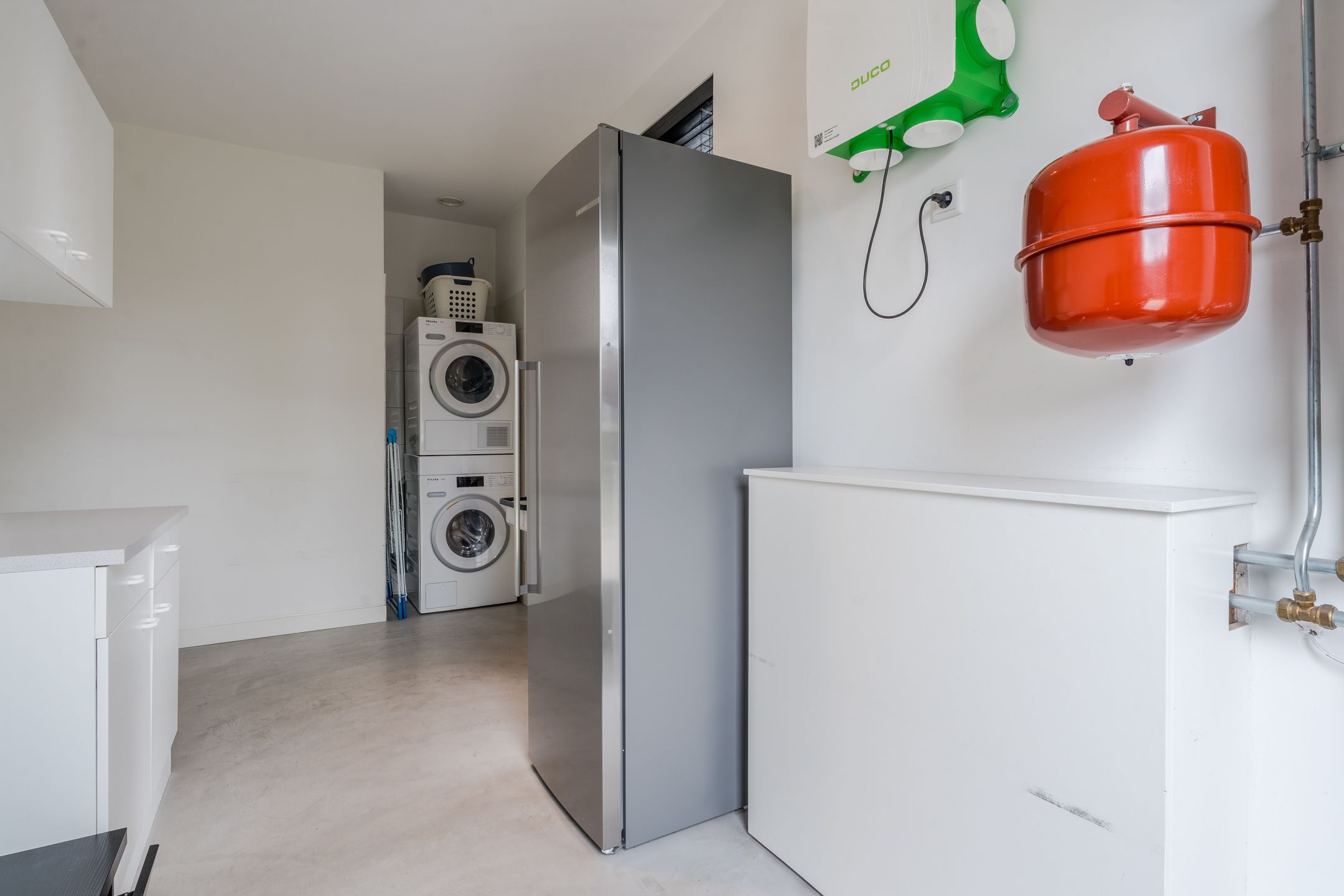 Foto 18 van Vijfvingerkruid 16