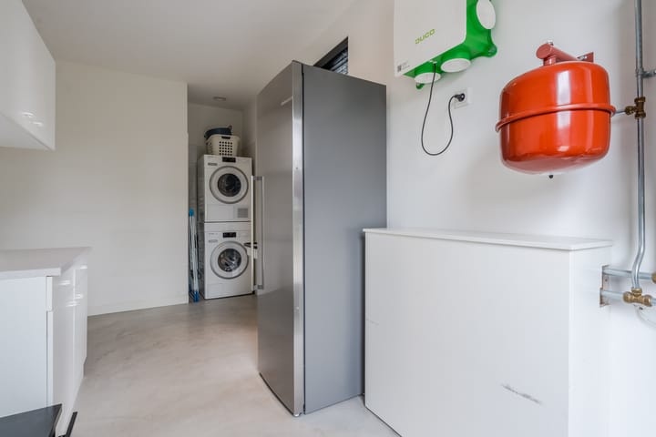 Foto 18 van Vijfvingerkruid 16