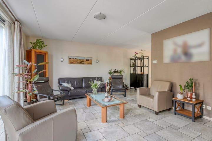 Foto 7 van Sterrenkroos 36