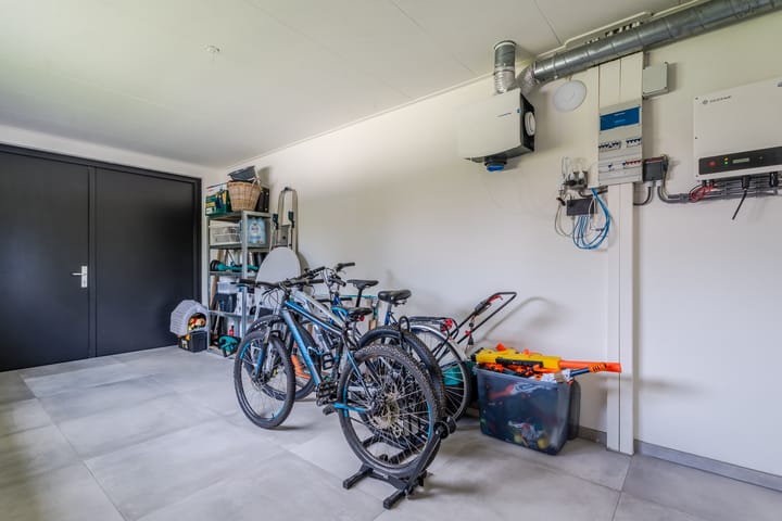 Foto 42 van Vijfvingerkruid 16