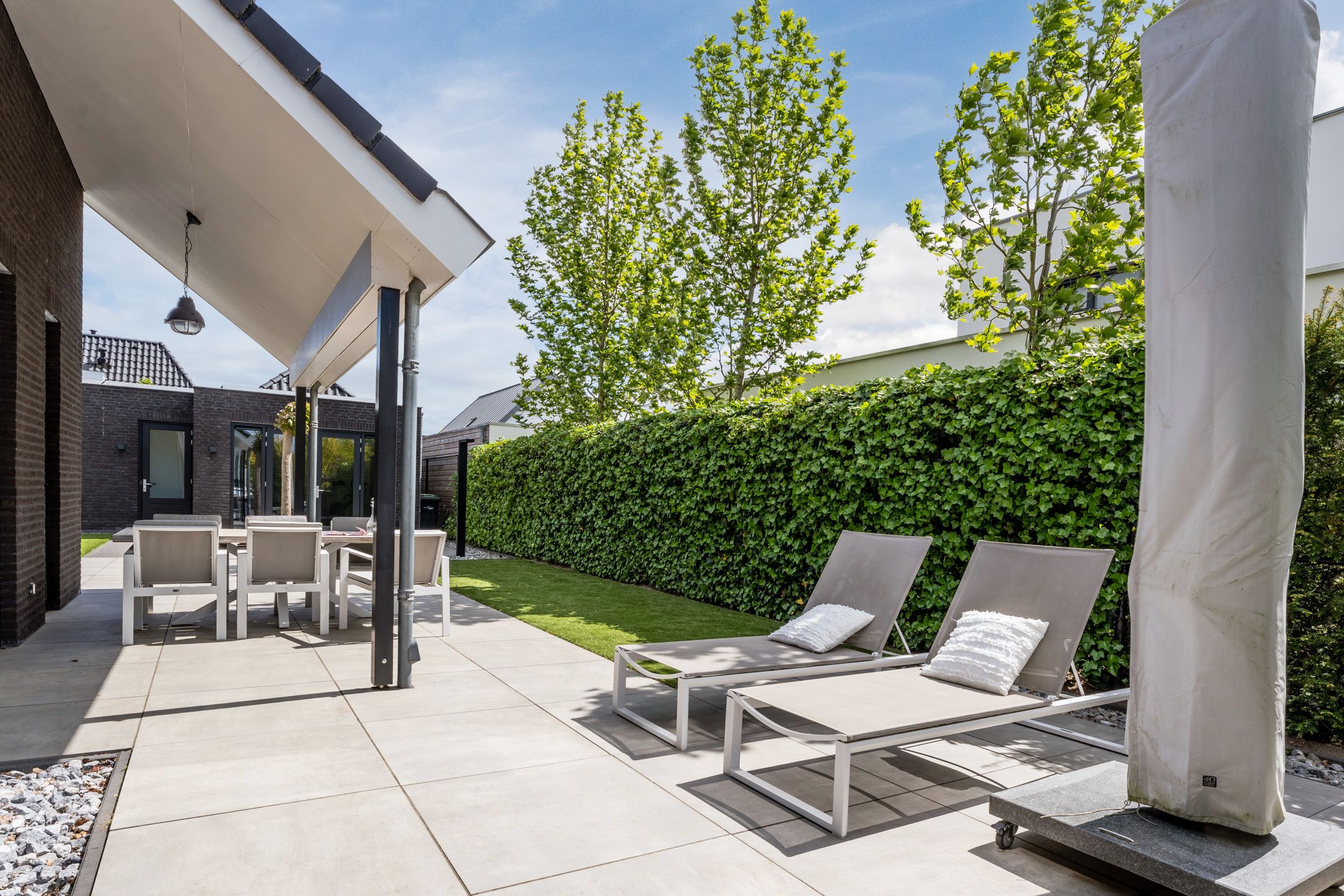 Foto 36 van Vijfvingerkruid 16