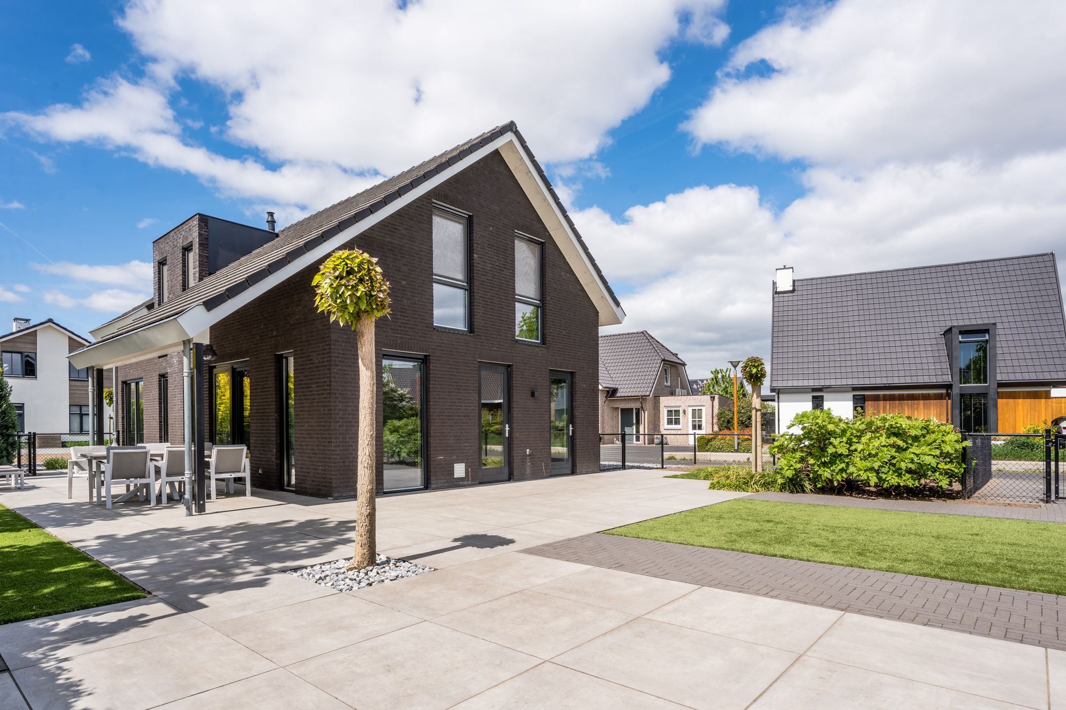 Foto 45 van Vijfvingerkruid 16