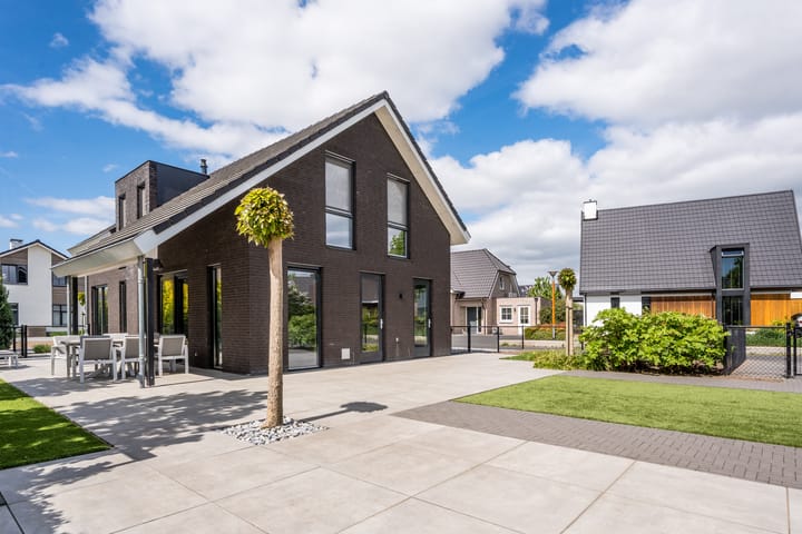 Foto 45 van Vijfvingerkruid 16