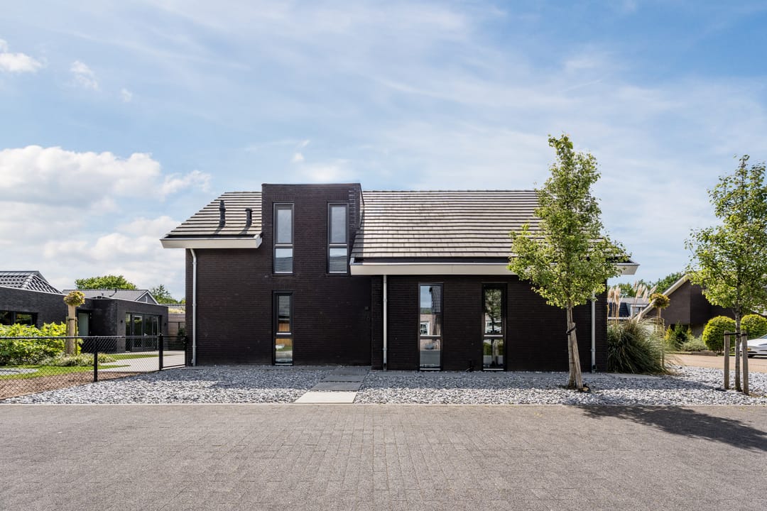 Foto 46 van Vijfvingerkruid 16