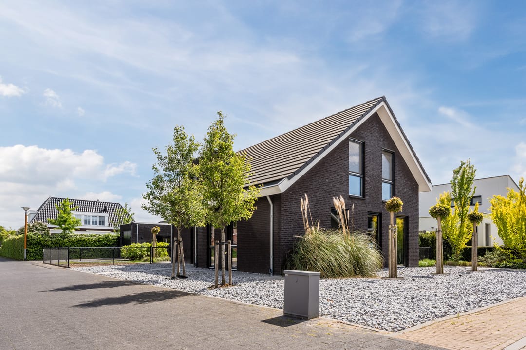 Foto 47 van Vijfvingerkruid 16