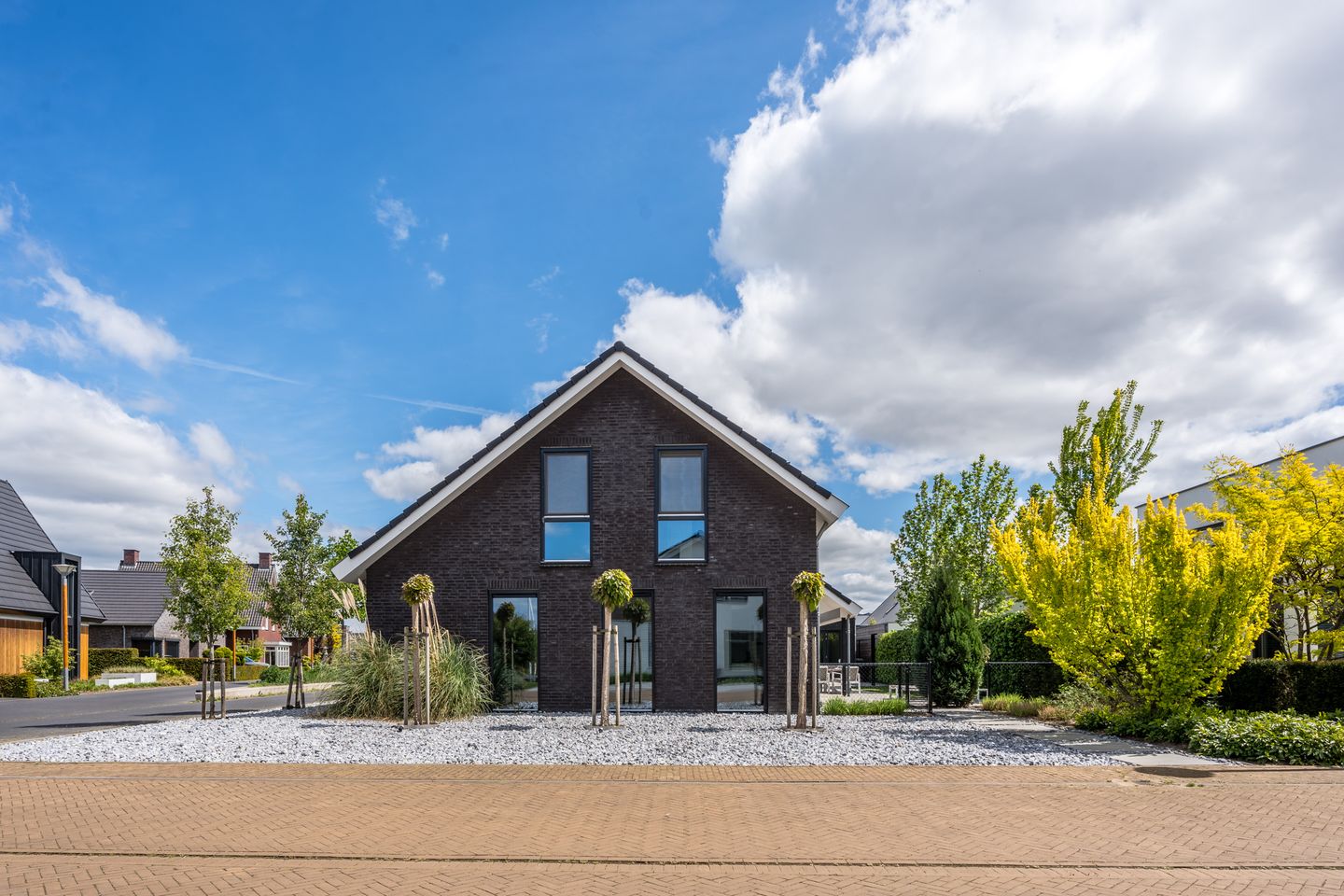 Foto 49 van Vijfvingerkruid 16