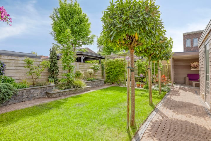 Foto 22 van Sterrenkroos 36