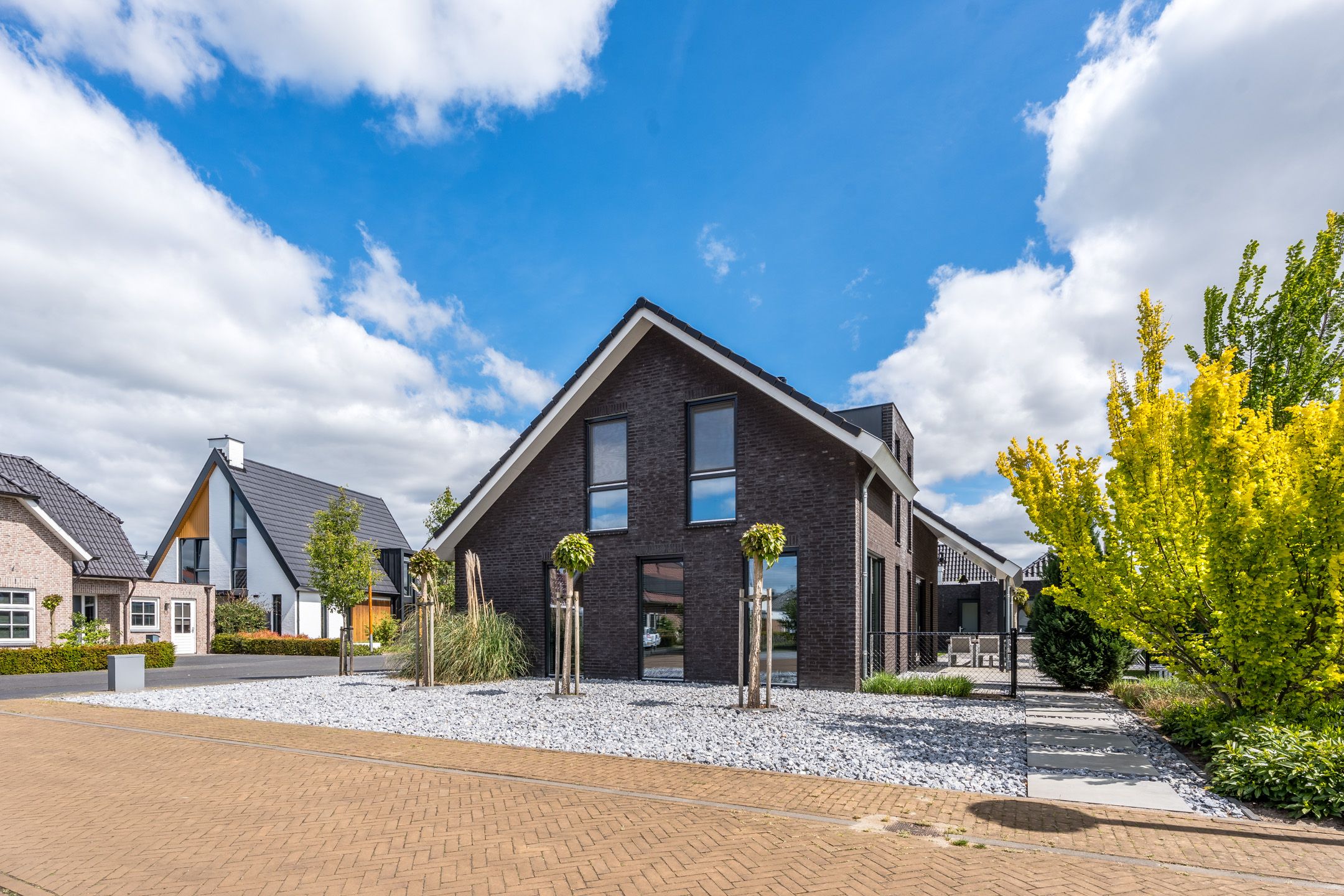 Foto 48 van Vijfvingerkruid 16