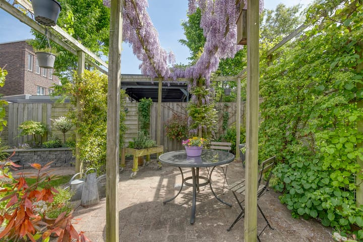 Foto 24 van Sterrenkroos 36