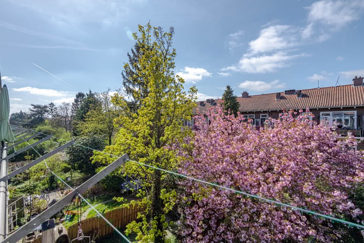 Foto 21 van Tapuitstraat 29-C