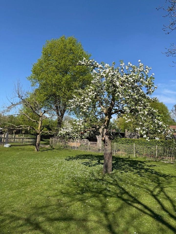 Foto 67 van Plataanweg 19