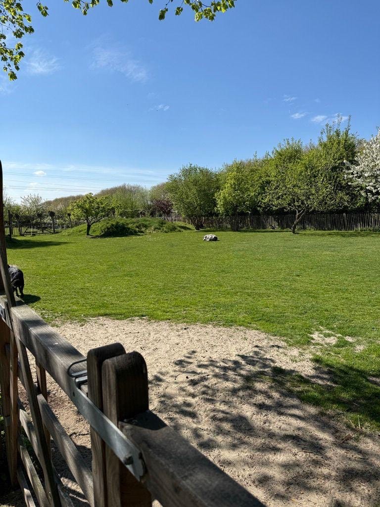 Foto 69 van Plataanweg 19