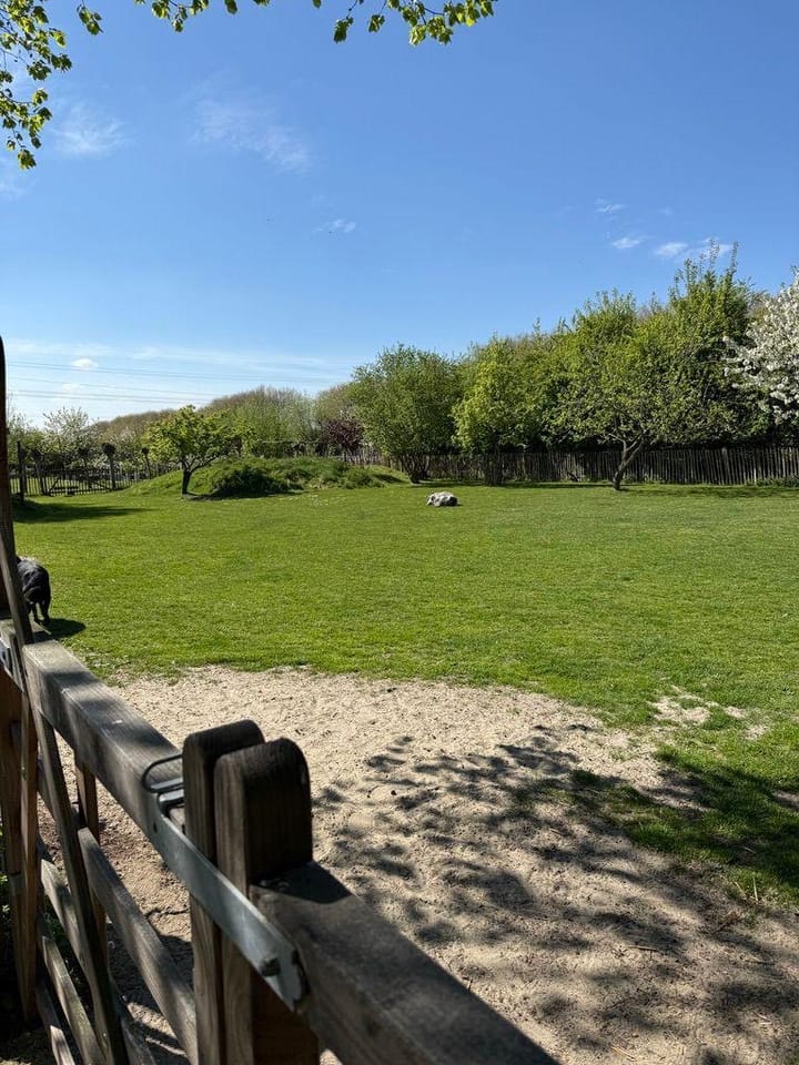 Foto 69 van Plataanweg 19