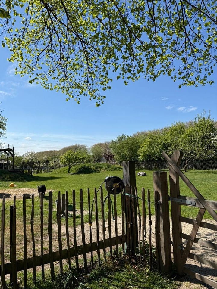 Foto 70 van Plataanweg 19