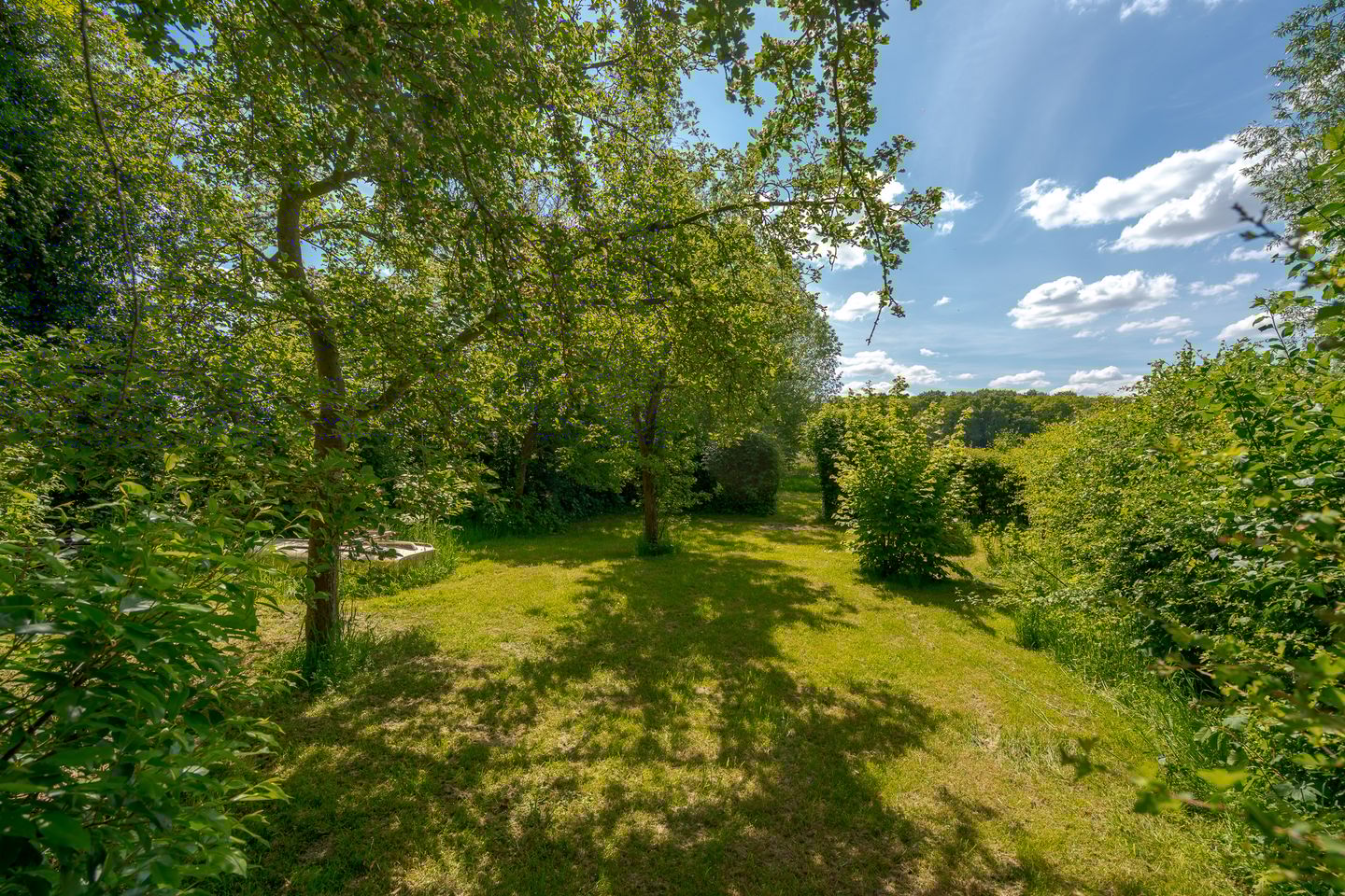 Foto 59 van Oude Oever 4