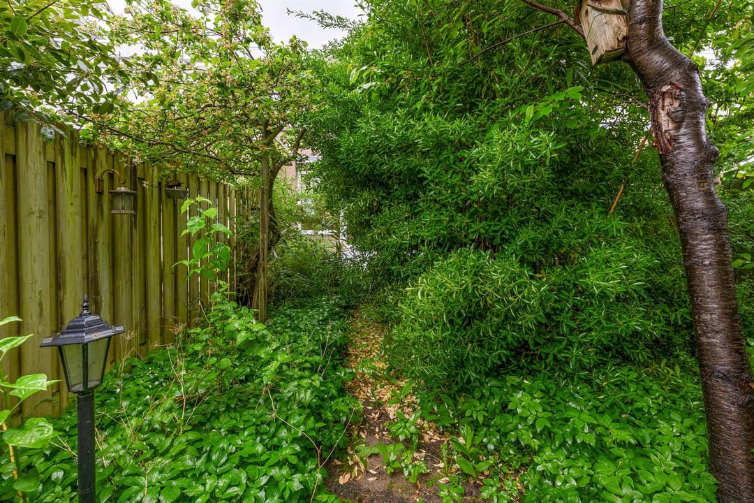 Foto 23 van Christoffel Wüststraat 22