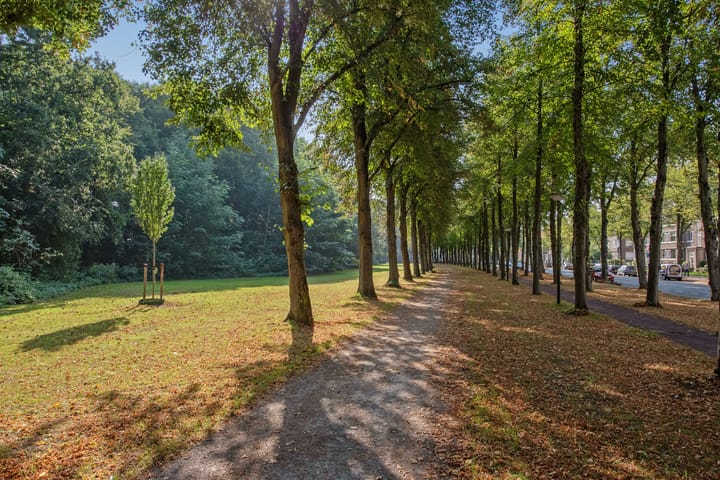 Foto 22 van Huis te Landelaan 186