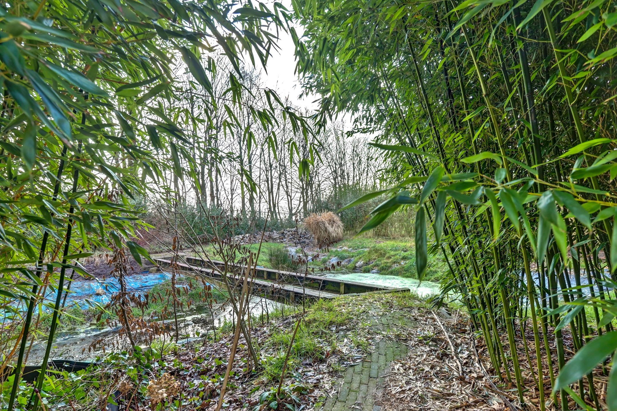 Foto 63 van Heiweg 2