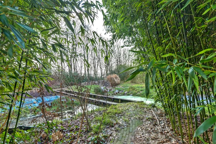 Photo 63 of Heiweg 2