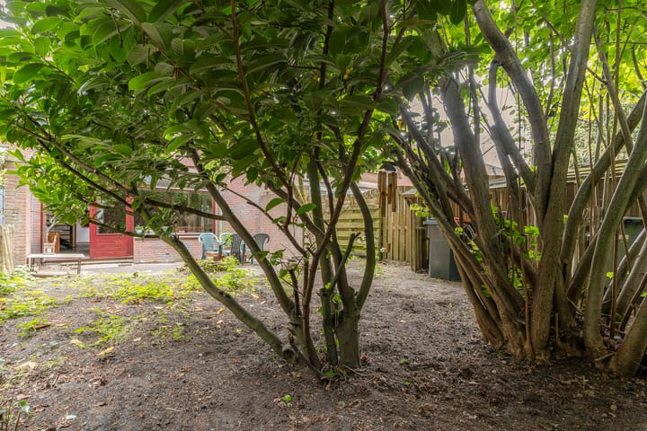 Foto 49 van Oostermoer 64