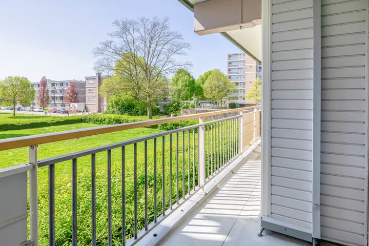 Foto 4 van Dotterlei 663