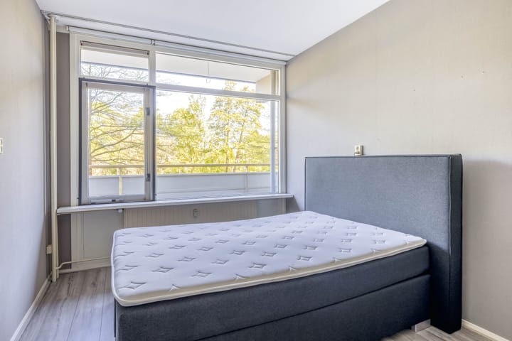 Foto 11 van Dotterlei 663