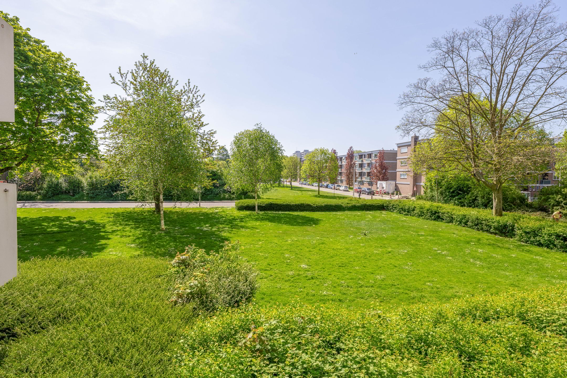 Foto 18 van Dotterlei 663