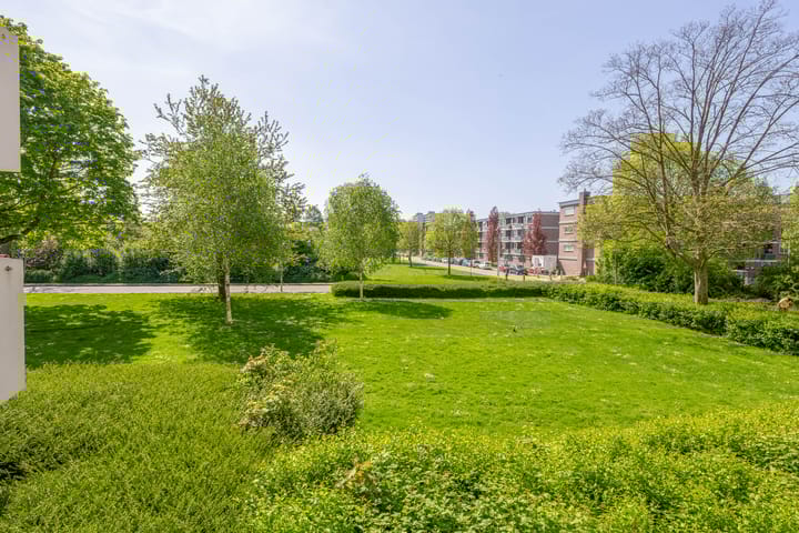 Foto 18 van Dotterlei 663