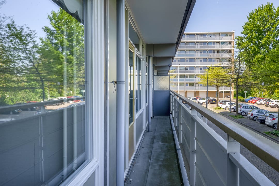 Foto 22 van Dotterlei 663