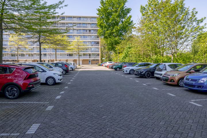 Foto 35 van Dotterlei 663