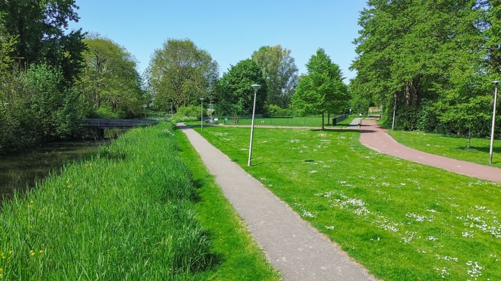 Foto 42 van Dotterlei 663