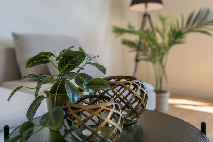 Foto 10 van Lodewijkdonk 15