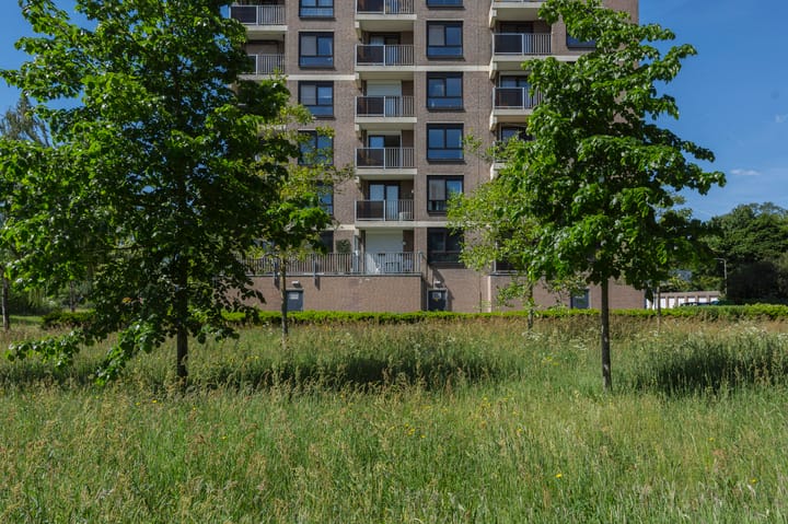 Foto 33 van Lodewijkdonk 15