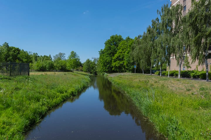 Foto 35 van Lodewijkdonk 15