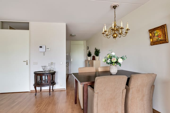 Foto 7 van Goudreinet 63